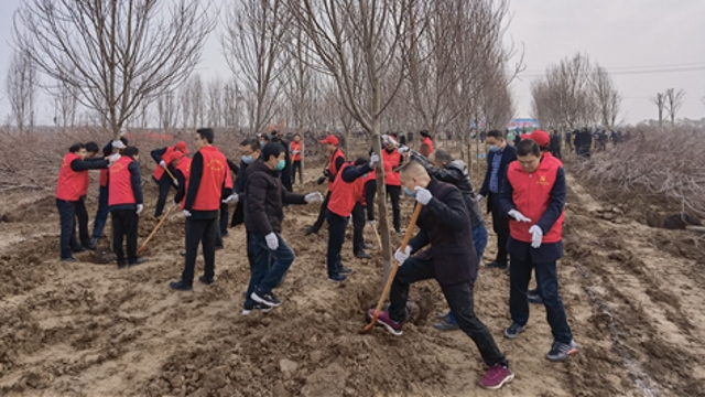 栽下樹苗，留下新綠