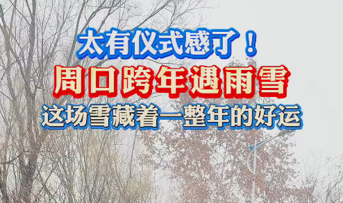 太有儀式感了！周口跨年遇雨雪 這場(chǎng)雪藏著一整年的好運(yùn)